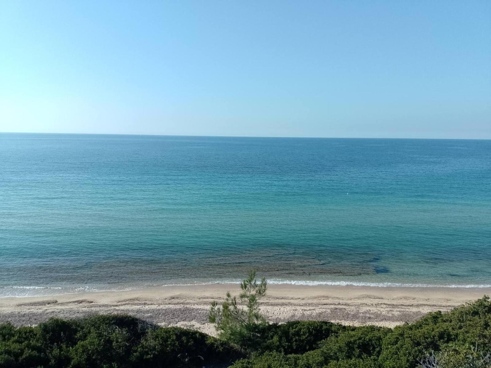 Damanda Mare Nea Poteidaia